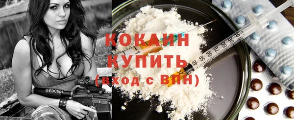 PSILOCYBIN Белокуриха