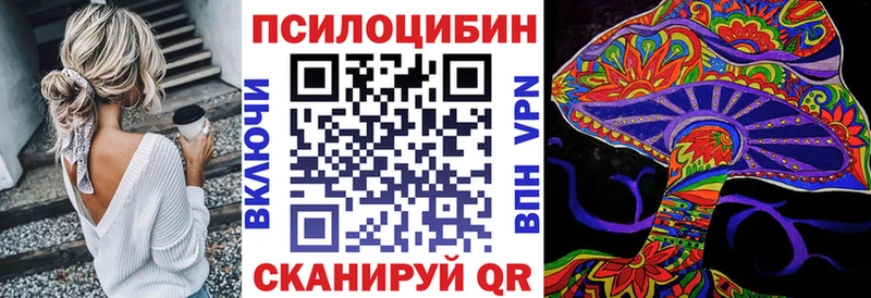 Галлюциногенные грибы Psilocybine cubensis Гай